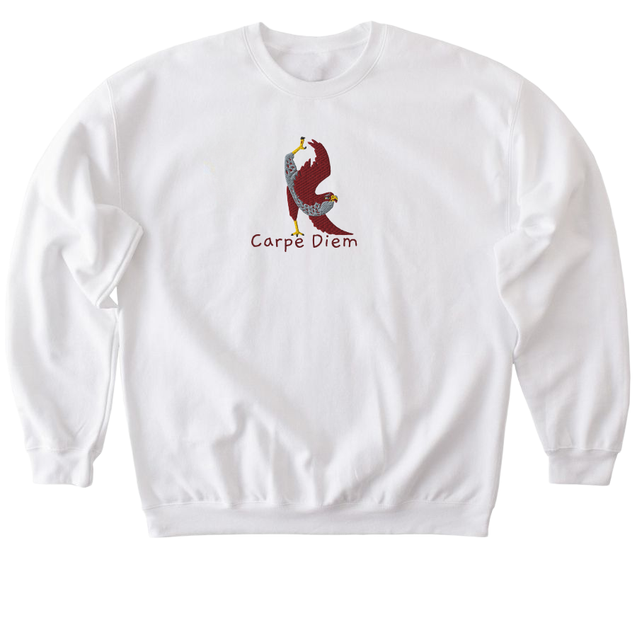 Carpe Diem Falcon Yoga Embroidery Unisex Sweatshirt