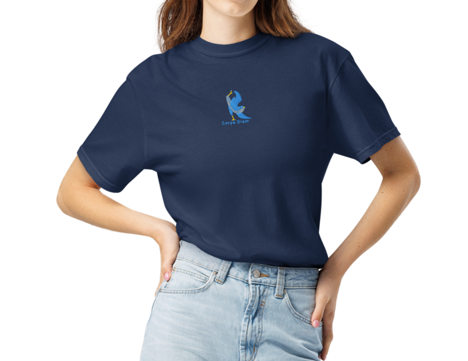 Carpe Diem Falcon Yoga Emboidery Unisex Super Soft breathable heavyweight t-shirt